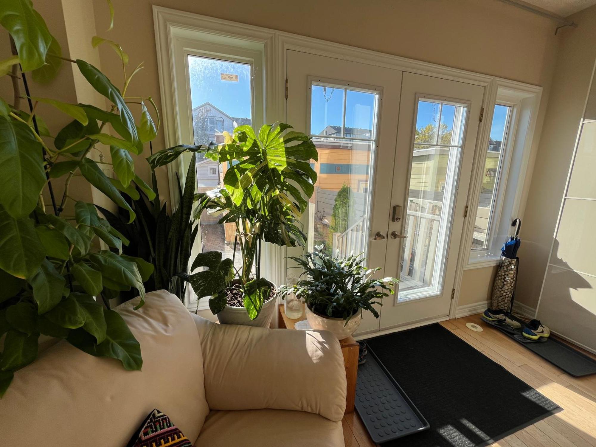 Stunning Rooms In Townhouse Across The Beach Toronto Luaran gambar